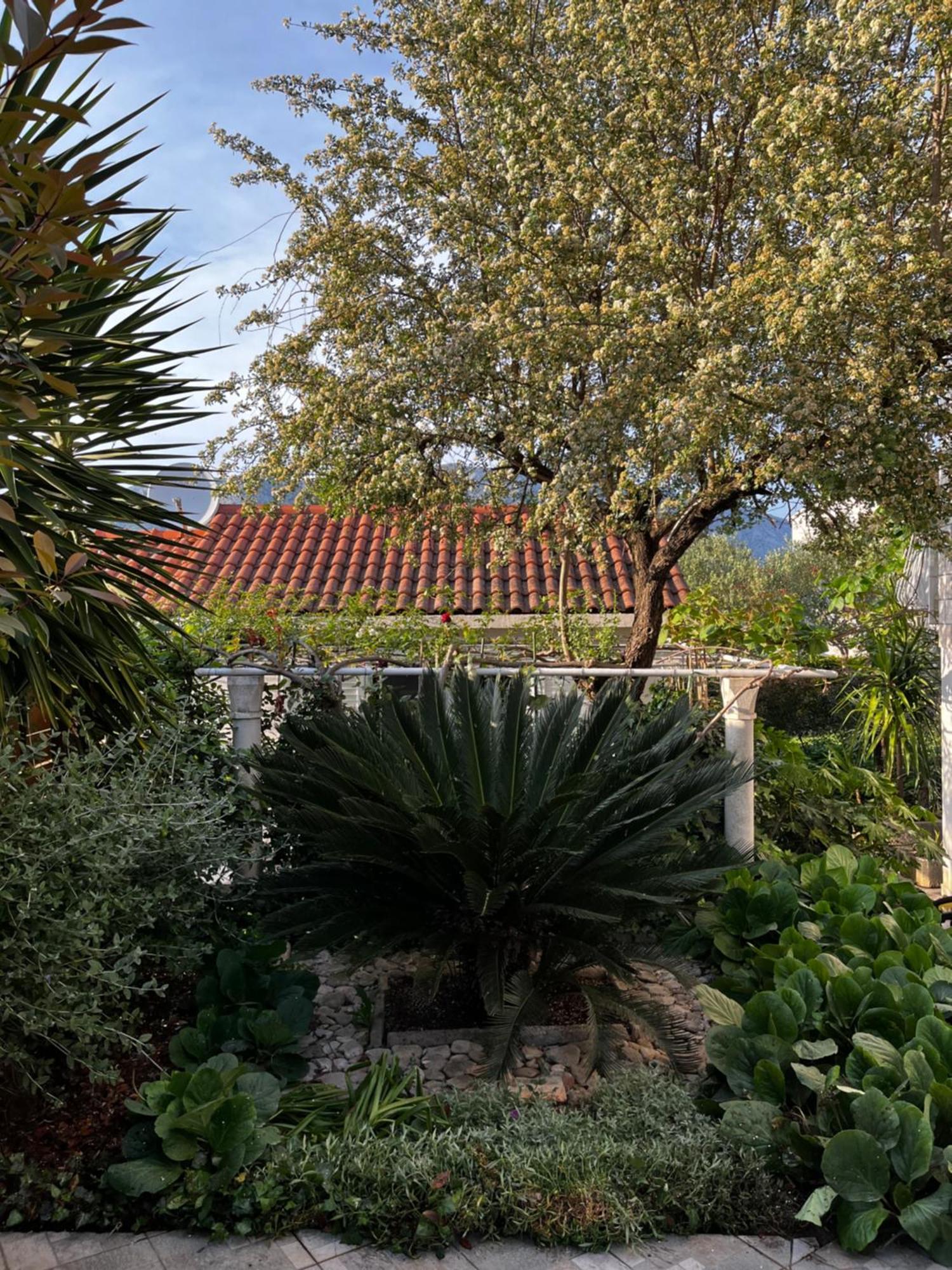 Tianri Διαμέρισμα Κόρτσουλα Εξωτερικό φωτογραφία
